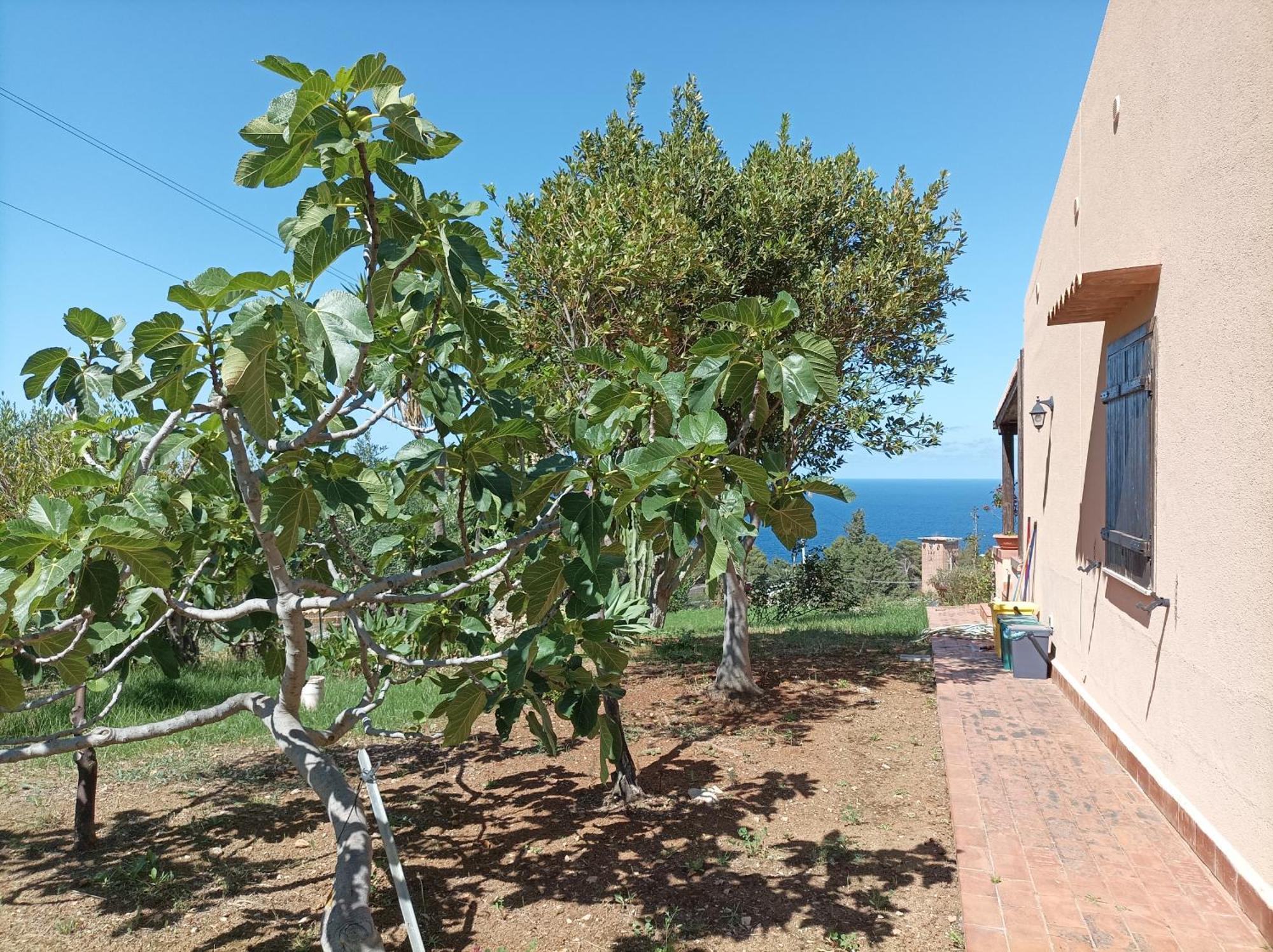 La Terrazza Su Pispisa Villa *